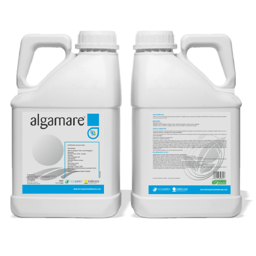 Algamare.png