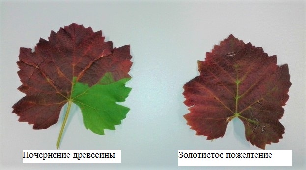 233.jpg 233.jpg