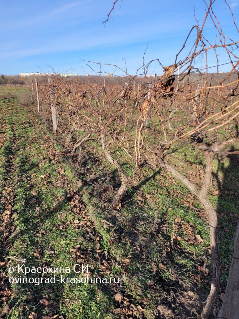IMG-20221201-WA0008.jpg